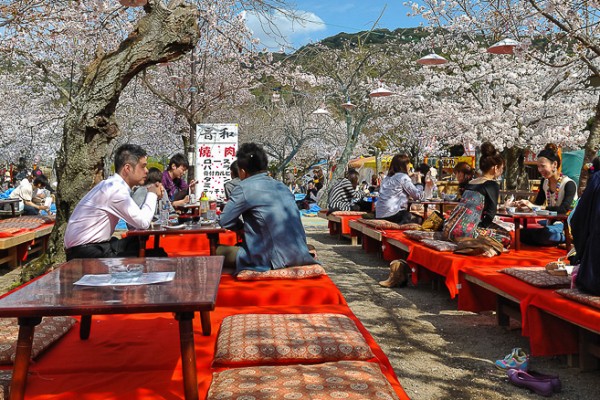 Maruyama Koen (Kyoto), déjeuner sous le sakura durant le hanami